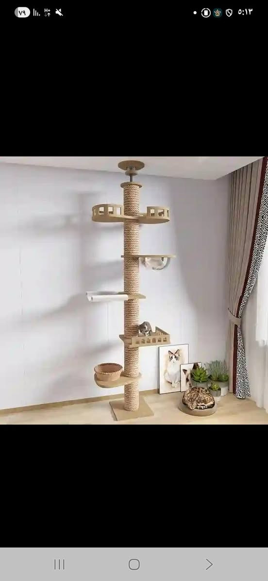 مستلزمات قطط بعد اكو ٣ قطع ماصورتهن كلهن ب٧٥ الف مع التوصيل


**إذا كنت صاحب هذا الإعلان وتريد حذفه لأي سبب، رجاءا أرسل رسالة إلى الدعم الفني**