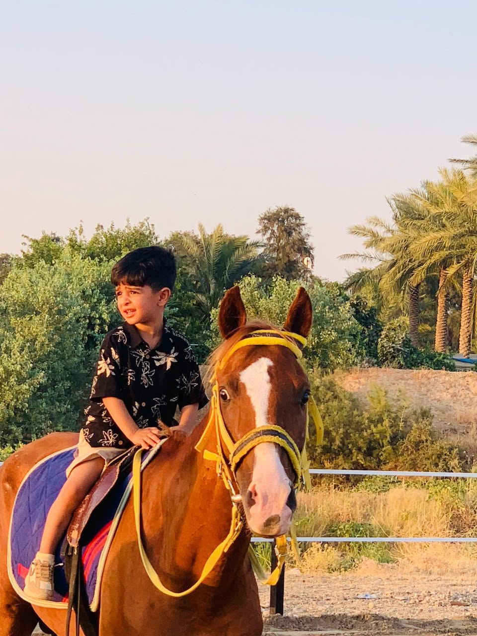 🐎🌟 ساحة جسر الجامعة لركوب الخيل ترحب بكم 🌟🐎
ندعو جميع محبي الفروسية وركوب الخيل لزيارتنا والاستمتاع بأجواء مميزة وتجربة لا تُنسى.

📍 العنوان: تحت جسر الجامعة – باتجاه بلاج العبارة.

🕓 أوقات التواجد: يوميًا من الساعة 4:00 عصرًا ولغاية 11:00 ليلًا.

📞 للاستفسار والحجز: 0777158891

🌿 نورتونا وتشرفونا بزيارتكم، وأهلًا وسهلًا بالجميع. بانتظاركم لقضاء أجمل الأوقات مع الخيل، ونسعد باستقبالكم دائمًا. 🐎🤍


**إذا كنت صاحب هذا الإعلان وتريد حذفه لأي سبب، رجاءا أرسل رسالة إلى الدعم الفني**