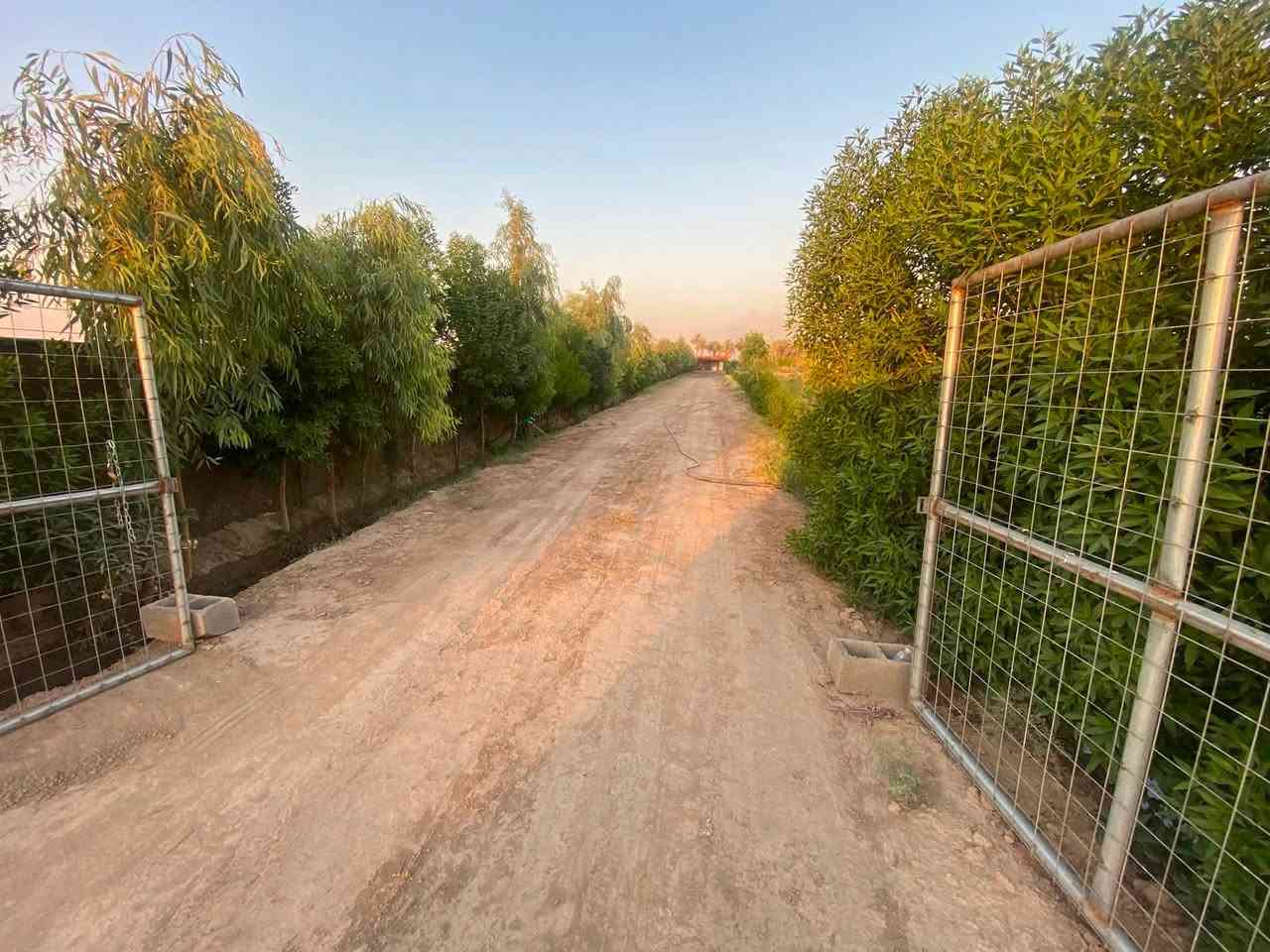 دونمين اله ربع على طابو المحمودية  

دونمين اله ربع طابو زراعي سند 25 يقع بغداد قرب سريع الدولي بداية منطقة الجسر الرابع واصله خدمات مع دار استراحة  وبجانب مدرسة البشائر والمحلات
***********

