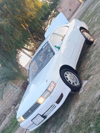 كرستا • ٩٣ • الغراف