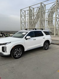باليسايد • ٢٠٢٤ • بدون شاصي