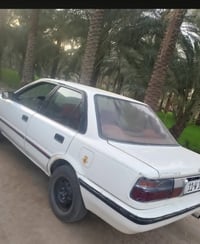كورلا • ١٩٩١ • بابل
