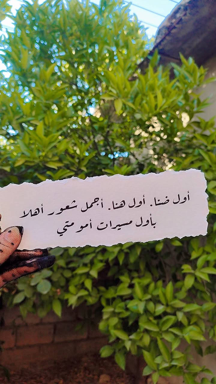 متوفر استيكرات للحمل


**إذا كنت صاحب هذا الإعلان وتريد حذفه لأي سبب، رجاءا أرسل رسالة إلى الدعم الفني**