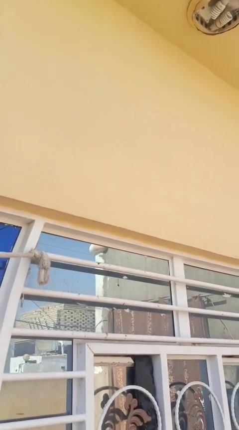دار طابو زراعي مساحه ٤٠٠ متر ٥  خمس غرف وصاله ١٣ متر واستقبال ومجمع صحيات كونكريت طابوق البيت جاهز قريب على الشارع خلف التجاري شارعه ١٢ متر ومبلط متطقه جدا راقيه يعني وسط السوك والمدارس والاطباء والصيدليات  السعر ١٧٥ مليون للاستفسار مكتب رعد النفاخ وتساب او رقم ***********
