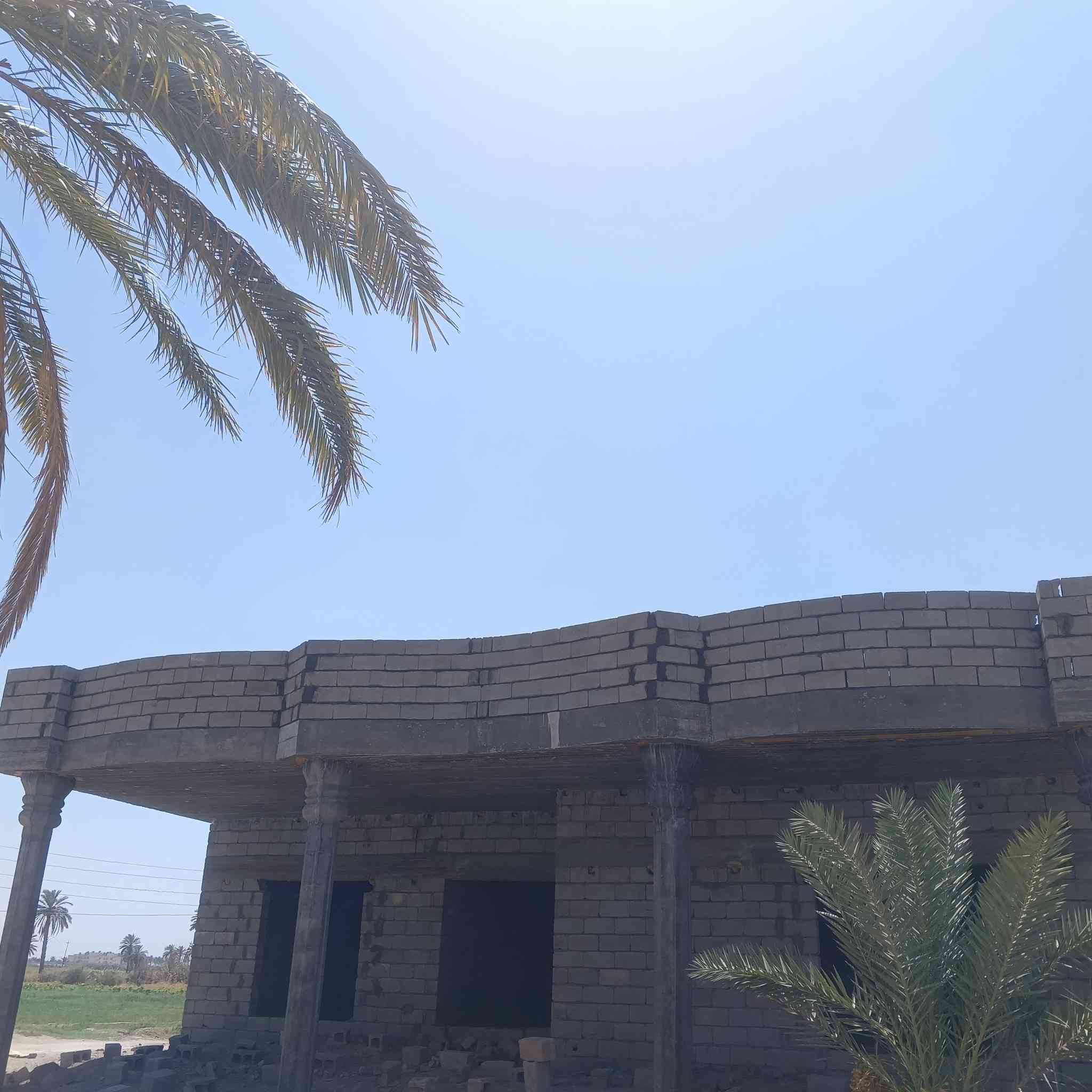 خلفه بناء بلوك فرمستون قطعي او يومي متفرغ حالين شقل درجه اولى الشقل داخل بغداد فقط  ***********ال***********
