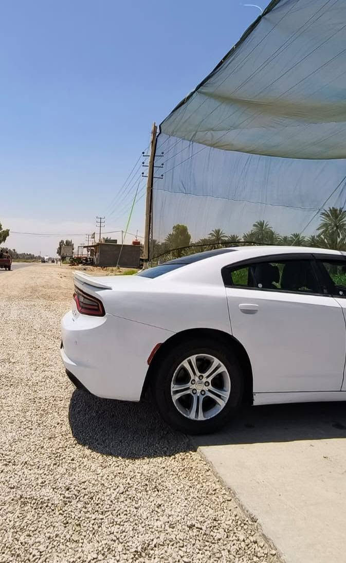 السلام عليكم جارجر sxt 3600 موديل ٢٠١٥
مواصفات تحكمات ستيرن وشفتات ومثبت سرعة كشن سايق كهرباء تبريد قطعتين كامرة وحساس خلفي كير اوتو وعادي تشغيل عن بعد بصمة تشغيل وبصمة ابواب سيارة جاهزة كلشي بيها شغال ولا كلوب مشتغل بالعداد تبريد تدفئة منظومة كاملة نفض تخم تاير وحدادية قبل شهر نفض برمجة مراوح وادفانز وفصله قبل شهر مسويها ترايها من البصرة لأربيل رقم ذي قار مشروع وطني سنويه باسمي تنتهي بشهر ٦ سنة ٢٠٢٨ باي محافظة تتحول مكاني الحلة - البصرة بيهه قطع صبغ سعر ١٤٨ وبيهه مجال للاستفسار اكثر ‏‪***********‬‏
