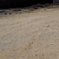 مزرعة للبيع او لايجار اليومي او شهري  اكثر من ٤ دوانم له طريقين من طري...