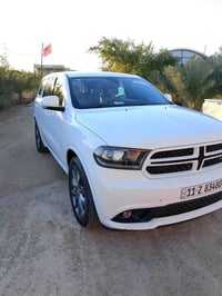 دورنكو GT • ٢٠١٧ • ٧ راكب