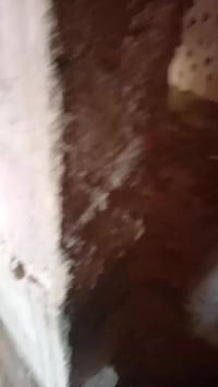 النجف • البراكيه • دار للبيع ١٠٠م