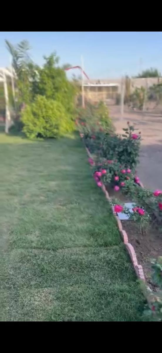 مزرعة لل ايجار متوفر مدار الاسبوع بنضام الشفتات ويوم كامل شباب وعوائل 🔊🔊🔊
🚩 /صلاح الدين بلد 
📞 رقم الحجز /***********
📞 واتساب / ***********
