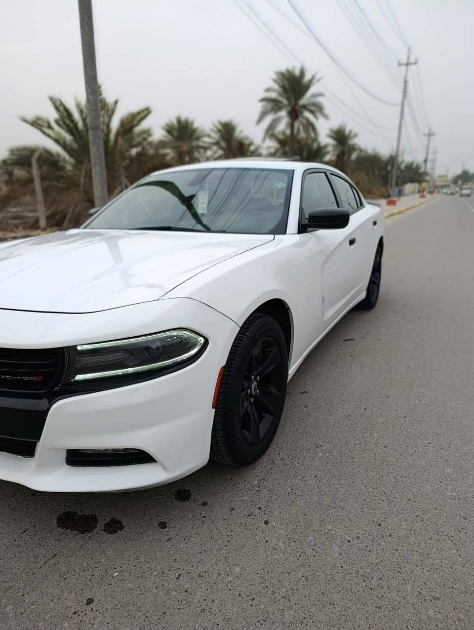 السلام عليكم جارجر 2018كندي كفاله عامه مكينه كير اكسل حداديه تخم تاير كل كفاله رقم شمالي شرط التحويل مكينه 3600تو ويل السياره فول فول السلام عليكم جارجر 2018كندي كفاله عامه مكينه كير اكسل حداديه تخم تاير كل كفاله رقم شمالي شرط التحويل مكينه 3600تو ويل السياره فول فول موصفات السياره احلاه من الصور لا شخط ولا رصعات السعر 245وبيها مجال ***********مامتواجد عل نت فقط واتساب  السياره احلاه من الصور لا شخط ولا رصعات السعر 245وبيها مجال *********** واتساب
