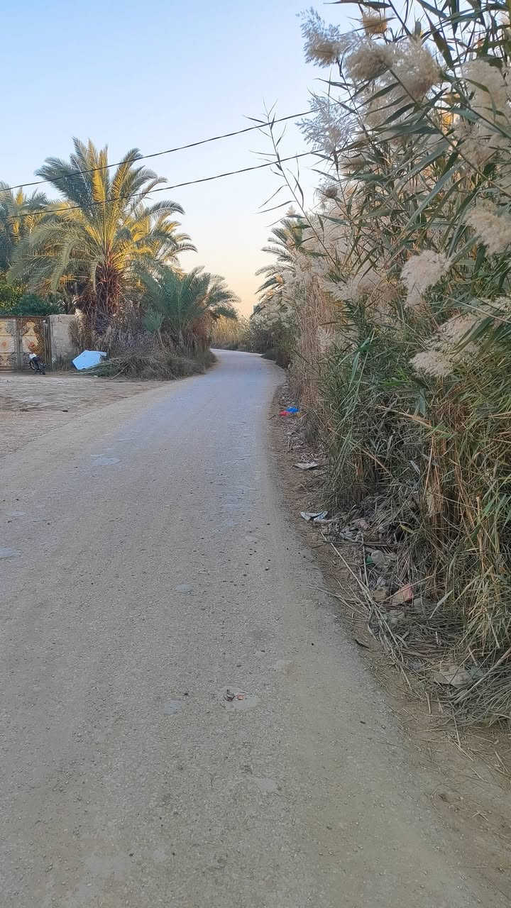 السلام عليكم قطعة أرض للبيع مع الدار بناء قديم المساحة الكلية 2500 متر كافة الخدمات متوفرة طابو اسود بستنة موقعهاا منطقة الصويحة قريبة على مركز المدينة السعر 60 / واتساب ***********
