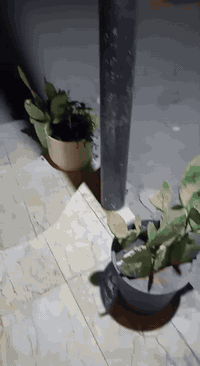 السلام عليكم 
مشتمل للبيع مساحة 100م الواجهة 5م والنزال 20م منطقة البنوك سوق الميثاق قرب ثانوية الاعتزاز فرع احذية ميرا
ثلاث طوابق الأول يحتوي على مدخلين و 2خدمات خارجية وداخلية استقبال 4×4 وصالة +مطبخ مفتوح+غرفة نوم5×4
الطابق الثاني غرفتين نوم 5×4و 5×5
وصالة وسطية كبيرة +خدمات 
الطابق الثالث ايضا غرفة نوم 5×4
وصالة كبيرة +خدمات 
والطابق الرابع غرفة مخزن  سندويج بنل 5×5
التواصل مع الرقم 
***********
***********
