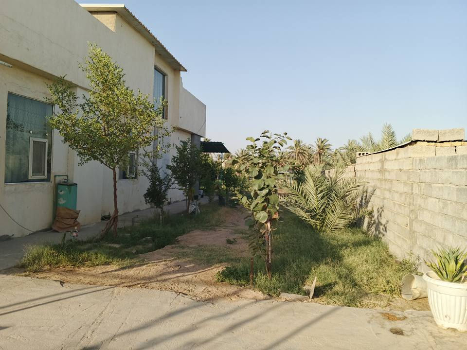 ⛔[اعلان عن بستان في منطقة الرابط - الزبيلية كربلاء]⛔

[للاستفسار عن السعر الاتصال على الرقم اسفل المنشور]

بستان بمساحة 1 دونم - الزبيلية كربلاء شارع الرابط -  

-الواجهة 21 / النزال 125.
-سياج بلوك.
-سند 25 حق التصرف.
-يطل على شارع تبليط رسمي.
-مكون من بيت حديث بمساحة 200 متر تقريبا + مضيف خارجي +غرفة خارجية صغيرة يمكن استعمالها كمخزن و جلسات خارجية عدد 2 احداهما تحتوي حمامات مفصولة للضيوف.

-يحتوي المنزل على 4 غرف نوم وصالة ومطبخ وحمامات عدد 3 

-تانكيات عدد 3 وتانكي ماء احتياطي خمس الاف لتر مع ماطورات ماء عدد 2 

-محمية للحيوانات متكاملة

-لمعرفة بقية التفاصيل بخصوص الكهرباء والماء والمزروعات
الاتصال على رقم صاحب البستان للاستفسار:
***********
