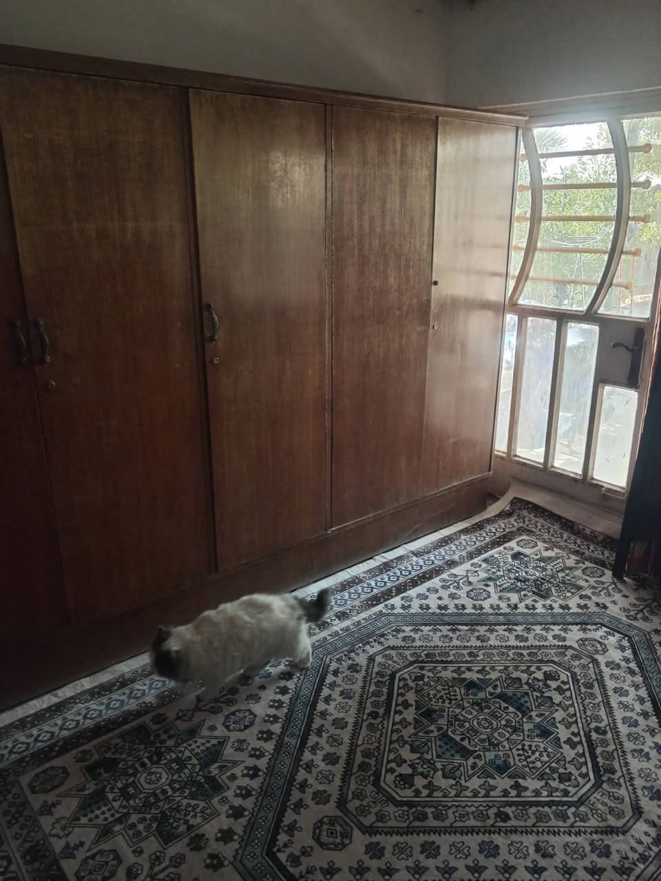 غرفة نوم مستعملة للبيع عراقي صاج خمسة باب كاملة سعرة 150وبية مجال مكاني بغداد اليوسفية رقم التلفون ***********بي واتساب او خاص عادي
