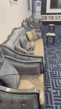 للبيع تخمين ٢٠مقعد للبيع جديد غير مستعمل صار شهر من اخذتهن مكانهن نجف حي الجامعه***********
