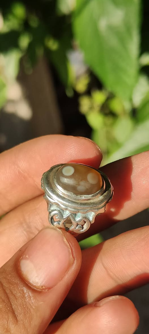 محبس سليماني قديم  (هندي) لبيع سعر خاص


**إذا كنت صاحب هذا الإعلان وتريد حذفه لأي سبب، رجاءا أرسل رسالة إلى الدعم الفني**