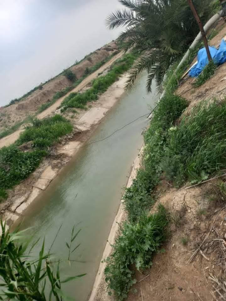 خويي العزيز جايبلك عرض ابد ميضيع ✅
جايبلك 3 دوانم دوانم بسعر 25 مليون فقط جاهزه
يعني ال 3 دوانم كلهن ب 25 جاهزات وجه الدونم
الواحد 45×55 على شارع 10 متر طابو زراعي سند 
25 فتح بيان بأسم المشتري العنوان تاجي سبع البور 
منطقة الشيخ عامر بلعيساويه تبعد المنطقة عن سبع
البور 15 دقيقه وعن السوك وبنات الحسن 10 دقايق
للاستفسار واتساب متوفر بلرقم ***********
