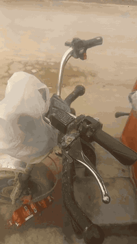 للييع بغداد الشرطه الخامسه هاتف ٠٧٨٠٦٥٩٦٢٣٣