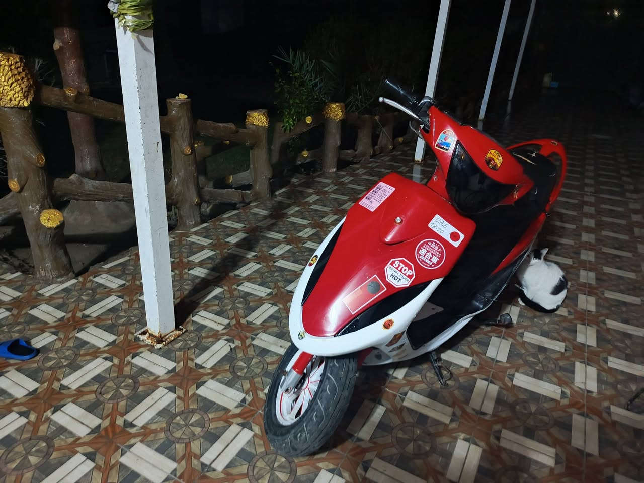 السلام عليكم
ماكس عدله 

دراجة بلادي 49مكينه مكفولة كفاله عامه المكينه من تبخير وتنقيص ومفتوحه 

ودراجه كلشي مانقصها متذب عليها الوالف كلشي شغال 

شلعه معدل فول 

سلف هندر بكل وقت 

سلف بلادي

دبلات بلادي

ضفيره بلادي 

سوادات مختمات ويا مكينه ختم واحد

دراجة متعوب عليها 

تأخذ متذب عليها الوالف كلشي شغال 

شلعه معدل ماتنكض 

كابريته بلادي 

صالنصه صجميه سبع الوان 

وياله نجمه 

المكان بابل الحله 

الرقم ***********

واليكسر بحلال العالم الايخابر والايرسل
