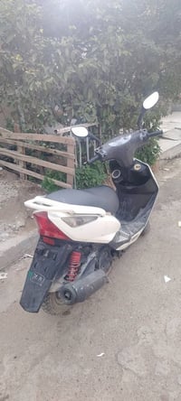 دراجة رمبه • مكفولة • ماخذها ٦ أشهر