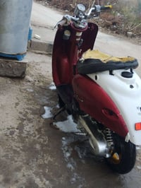 مصريه • معدل • ناصريه