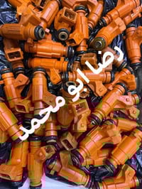 بيجو • فرنسي • مفحوص