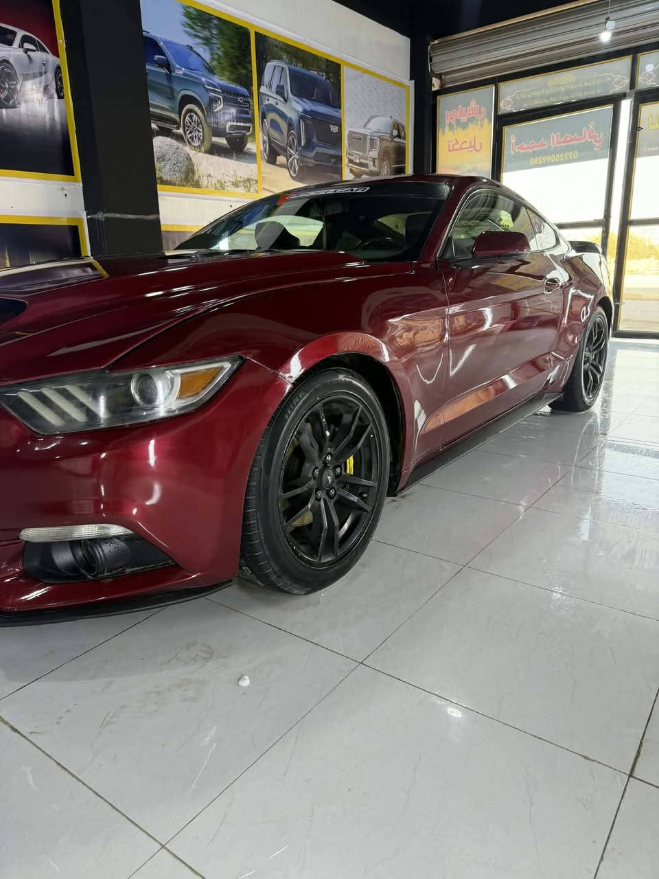 ‏                     
الســـــعر 125 ورقـــه (بيها مجال للشراي )
(موستنك ايكو بوست 2016 )
فول مواصفات: 

گير ومحــرك مكفول
تبريد ثلج 
تشـــغيل عن بُــــعدْ
شاشة الوكالة 
كاميرا 
 حساسات
داخلية إضاءة 7 ألـوان
رادار 
إشارة ترحيب صوتي وضوئي 
ویل كب بلادك اديشن 

السيارة بيها رش صبغ قطع ابيع احزام 
الحادث: چاملغ  السايق بأمريكا
السيارة مداور ثاني يوم

رقم الاتصــال 👇🏻
***********
