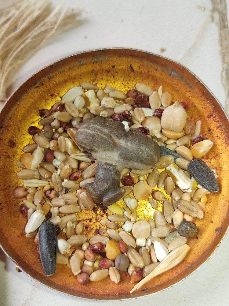 حجار سلطاني شغل سفلي  قديمات مال دفع تقويه علاقات رومانسيه حب وحنان عجاب شديد فووول مال زماط وتحدي للبيع ***********
