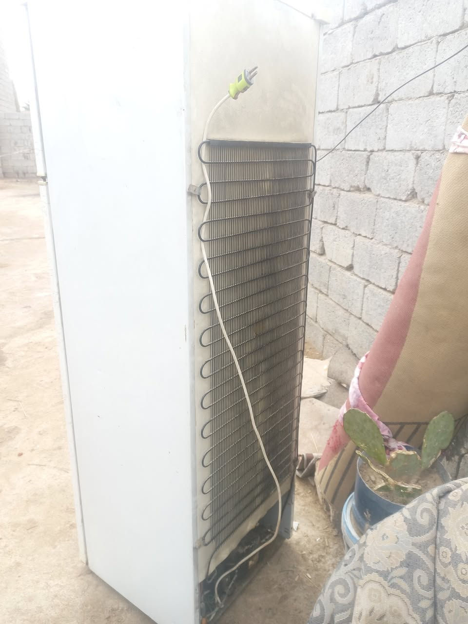 للبيع شغاله تجميد فول مداخله تصليح السعر ٥٠ مكاني شبانات قرب مدرسه الايتام متواجد عل فيس ***********
