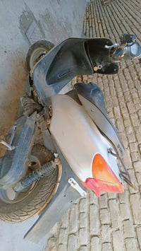 عصفورية • شغالة • كربريتر