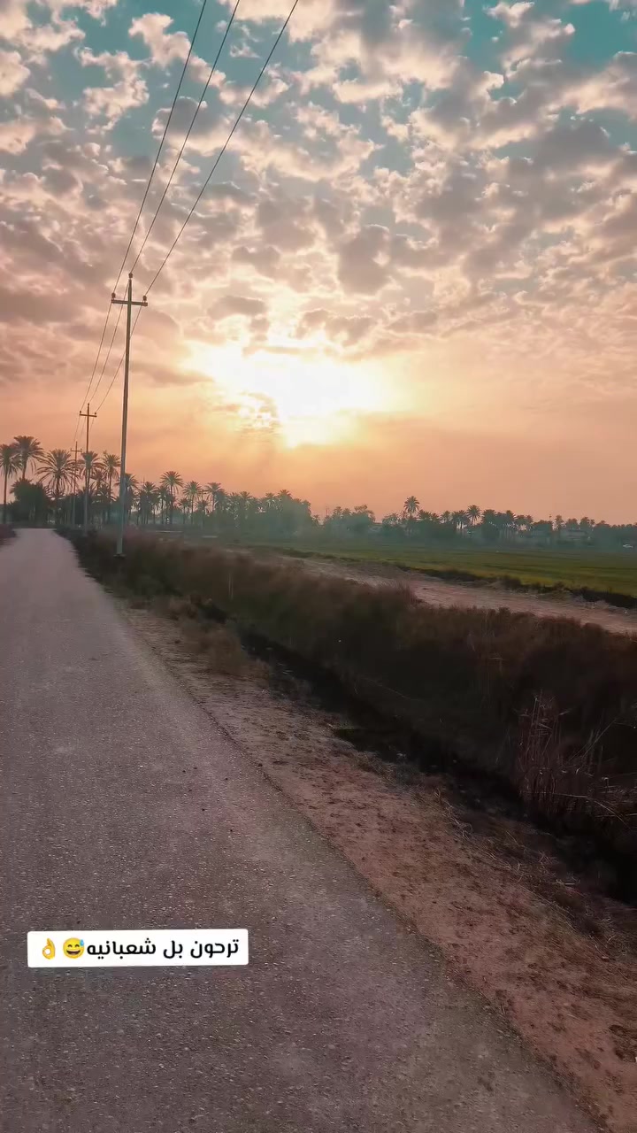 سلام عليكم. دراجه..... البيع؟...... اوراق سكنر... مكينه شلامجه... كلشي ما بيها التعميره.... 2025.. . . . رقمي***********
