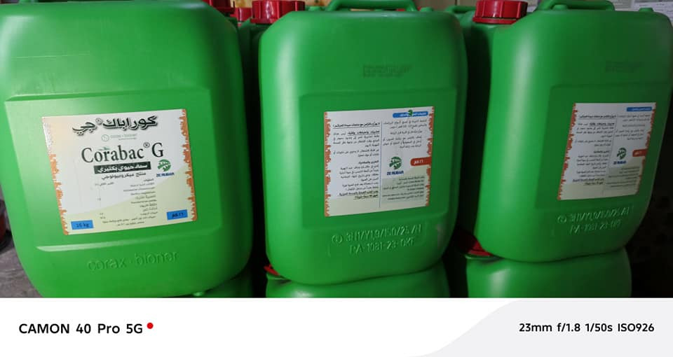 الأساتذة الأكادميين والباحثين عن الدراسات العضوية الصديقة للبيئة والمزارعين المتميزين وخاصة في حقول البطاطة والطماطة والحنطة.          
                  Corabac G           
سماد حيوي بكتيري – من شركة Corax-Bioner Biotechnology
الهنكارية 
حصريا في مكتبنا . والمنتج الفريد في العراق. منذ عام 2022 تم استخدامه. 
في أبحاث كثيرة أجريت في كليات الزراعة 
في الموصل وإقليم كردستان. 
🌹وهو منتج ميكروبيولوجي يحتوي على بكتيريا نافعة لتحسين خصوبة التربة ونمو النبات.
🌹 مكونات Corabac G 
🥀يحتوي على خليط من بكتيريا التربة المفيدة:
البكتيريا وظيفتها🍁
Azotobacter chroococcum تثبيت النتروجين من الجو في التربة
Bacillus megaterium
🌹 إذابة الفوسفور غير المتاح للنبات
Pseudomonas putida
🌹 تحفيز نمو الجذور ومقاومة الأمراض
مع مواد عضوية حاملة تساعد البكتيريا على البقاء في التربة.
🌹 فوائد Corabac G الزراعية
هذا المنتج يعمل مثل مخصّب حيوي للتربة وليس سماد NPK عادي.
🌷أهم فوائده:

1️⃣ زيادة النتروجين الطبيعي
بكتيريا Azotobacter تأخذ N₂ من الهواء وتحوّله إلى نتروجين تمتصه الجذور
🌷 يقلل حاجتك لليوريا أو DAP
2️⃣ تحرير الفوسفور المثبّت
Bacillus megaterium يحوّل الفوسفور المترسّب في التربة إلى شكل متاح للنبات
➡ يزيد عدد الجذور، التزهير، والعقد
3️⃣ تقوية الجذور
Pseudomonas putida:
تحفّز إفراز هرمونات نمو
تزيد طول وكثافة الجذور
تقلل فطريات التربة الضارة
4️⃣ تحسين بنية التربة
يرفع النشاط الحيوي
يزيد احتفاظ التربة بالماء
يخفف الملوحة والقلوية بمرور الوقت
🌹Corabac G يساعد في:
🍁تسريع التفريع
زيادة عدد السنابل
🍁امتلاء الحبوب
🍁تقليل الإجهاد من الملوحة والأسمدة الكيماوية
🌺 هل هو سماد أم بكتيريا؟
هو سماد حيوي (Bio-fertilizer)
يعني:
🍁 لا يعطي غذاء مباشر، بل يجعل التربة تنتج الغذاء للنبات
⚠️ ملاحظات مهمة
لا يخلط مع:
المبيدات القاتلة للبكتيريا
المطهرات
الأدويةالنحاسية. 
🌸 سارعوا بالحجز. الكمية محدودة جدا.***********
***********
ومن الله التوفيق والنجاح🌹🌹🌹🌹🌹🌹

