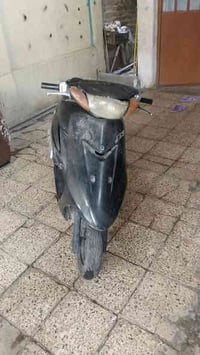 عصفوريه • فحل • ابودتشير