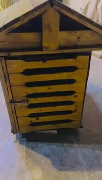 بيت كلاب • بيت قطط • بغداد