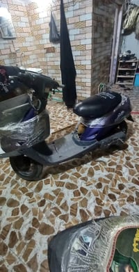 بطة • حلوه • بيه مجال