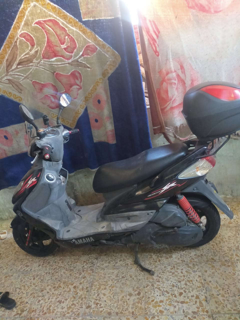 سكنس فحل ياباني البيع خمس ايام من نازله رمبه
***********
