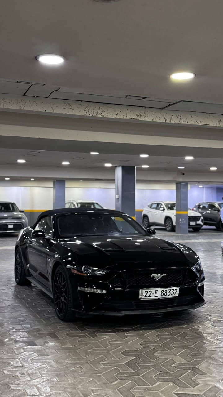 2021 gt فورد موستانك
فول  مواصفات1/1  للاخير   دجتال  داخل جلد   اكتف   ترحيب  شكو مواصفات بالموستنك موجودة بيها  كلش  قطعة واحد صبغ  فقط بدوون ايرباك السيارة 
   (نص جاملغ خلفي  الصبغ )
ماشية 30 الف  ميل فقط . ‎السياره كلها بلادية
عليها  هوائيات  وبرمجة وكلش قوية معروفة بنظافتها  .
وبيها كواتم اكتف  تطفي من يمك الصوت .
حادثها موضح بالصور  كفالة عامة بدون لغد بدون شاصي   بجم  كبس  علما  ان الباب  راجعة وكالة نفس اللون    بدون صبغ  فقط الجاملغ  خلفي نصة مصبوغ   فقط ،،بدون دواخل ومحرك وتبريد وصدر  مكفولات وجديدات  رقمها اربيل  هزة  جديدة وسنوية   تحويل مباشر مني  ورقم   جديد لل2030  سعرها 
210  ورقة وبيها مجال بسيط   نزلت  سعرها   مراعاة  للسوك  والوضع   والسيارة نظيفة و متعوب عليها  متتقارن بالمهجومات 🖤

*********** سجاد الخفاجي  مكاني زيونة او يرموك
