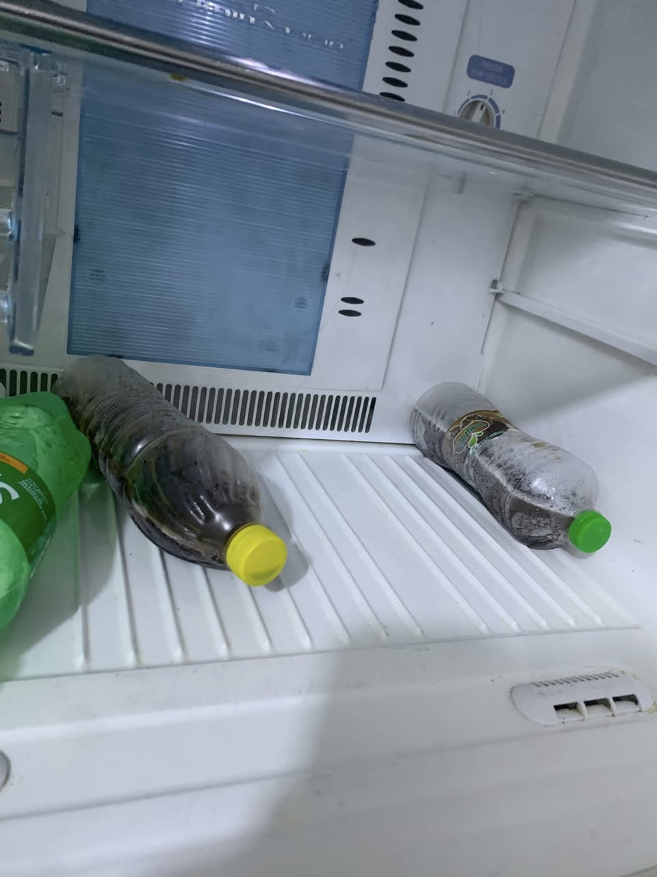 ثلاجه حجم كبير جدا للبيع نضيفه وتجميد فول نوعيته توشيبا العربي سعر ٦٥٠


**إذا كنت صاحب هذا الإعلان وتريد حذفه لأي سبب، رجاءا أرسل رسالة إلى الدعم الفني**