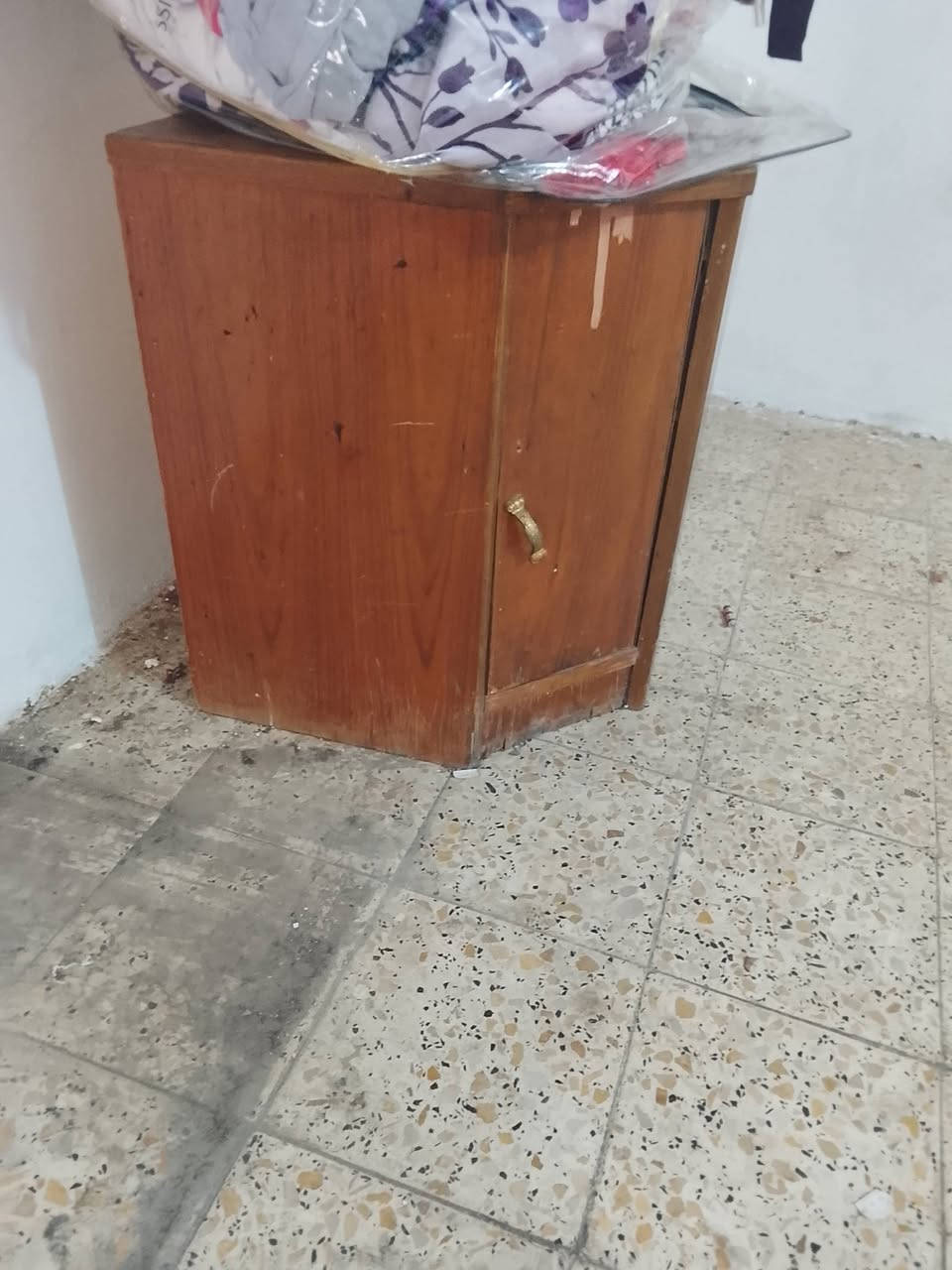 اسعار مناسبة مال بيتي


**إذا كنت صاحب هذا الإعلان وتريد حذفه لأي سبب، رجاءا أرسل رسالة إلى الدعم الفني**