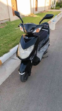 دراجة يابانية • مكفولة • فحل