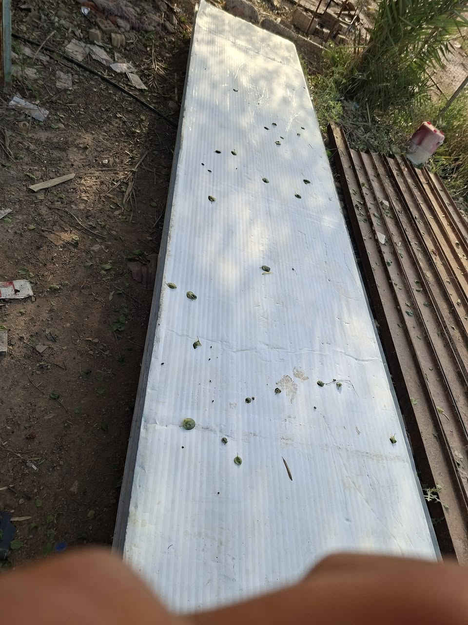 سندويج طول ٥متر نضيف غير مثقوب  خمس قطع الرقم ***********
