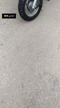 رمبه • للبيع • خاص