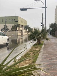 شقه للايجار B2  طابق اول  مساحه 100 مؤثثة ايجارها 600 + دلالية  شقة 10...