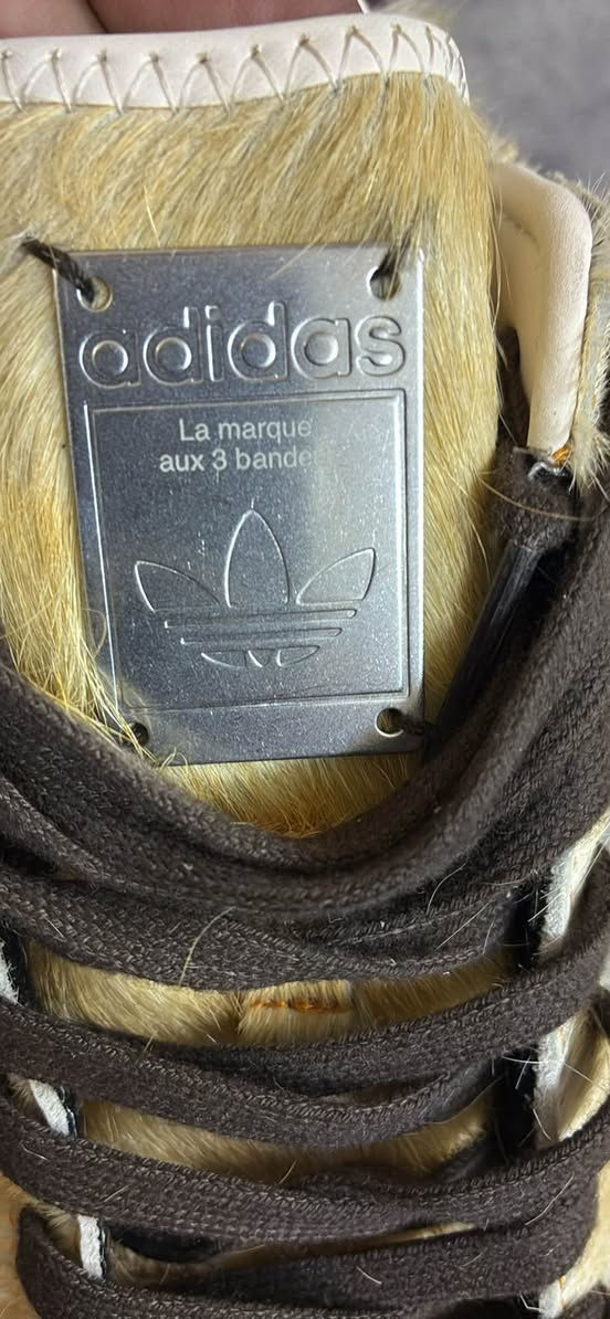 حذاء اديداس ماصدر كواليتي درجه اولا واصل من امريكه جلد النمر ماملبوس بغداد, العراق


**إذا كنت صاحب هذا الإعلان وتريد حذفه لأي سبب، رجاءا أرسل رسالة إلى الدعم الفني**