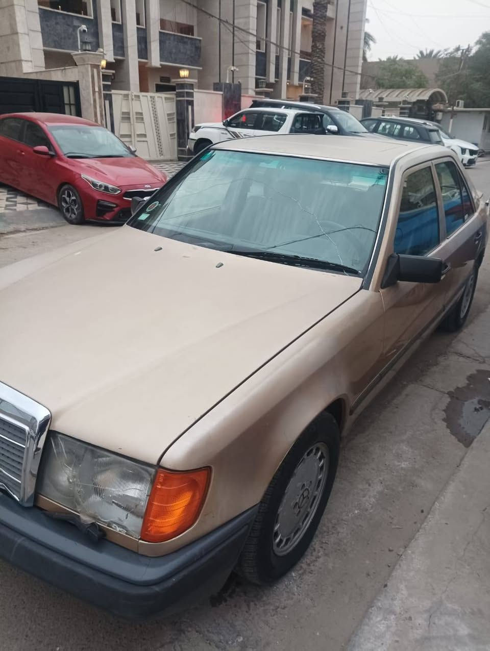 مارسيدس بنز موديل 88 مكفوله محرك وكير وهيكل بلادي السعر 75 ورقه جميع الاجزاء شغاله.جام كهرباء تجوه كهرباء كراسي كهرباء صبغ بلاد حجم 300 دب
تلفون ***********....*********** بغداد, العراق
