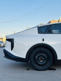 اسود • مراوس • بويل كب