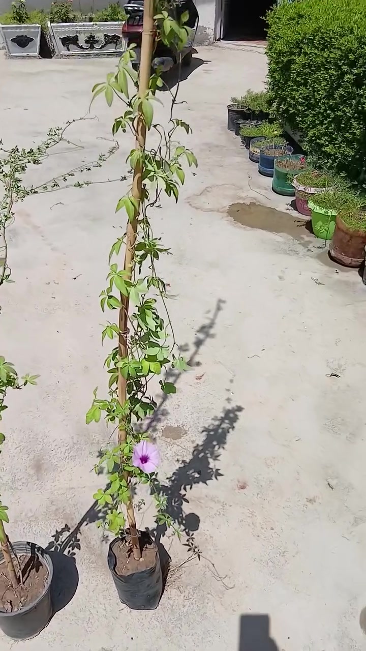 يوجد خدمة توصيل لجميع المحافظات العراق لحجز وسفسار مراسل خاص


**إذا كنت صاحب هذا الإعلان وتريد حذفه لأي سبب، رجاءا أرسل رسالة إلى الدعم الفني**