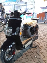 بوليسي • كفالة • مسيب