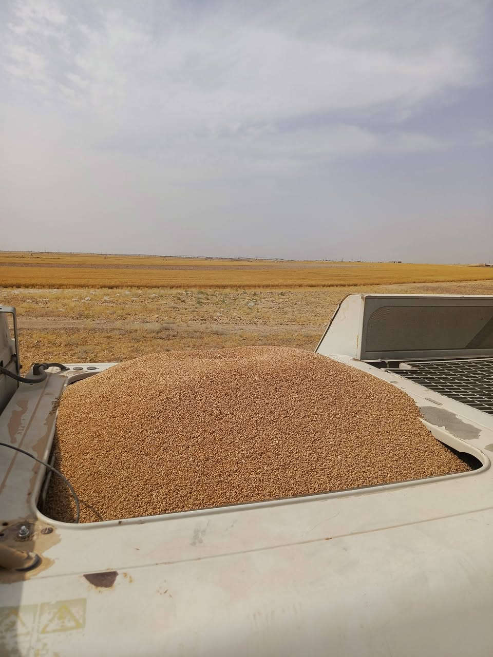 كلاس موديل 2011
مكفوله كفاله عامه

العنوان بغداد أبو غريب 

***********
